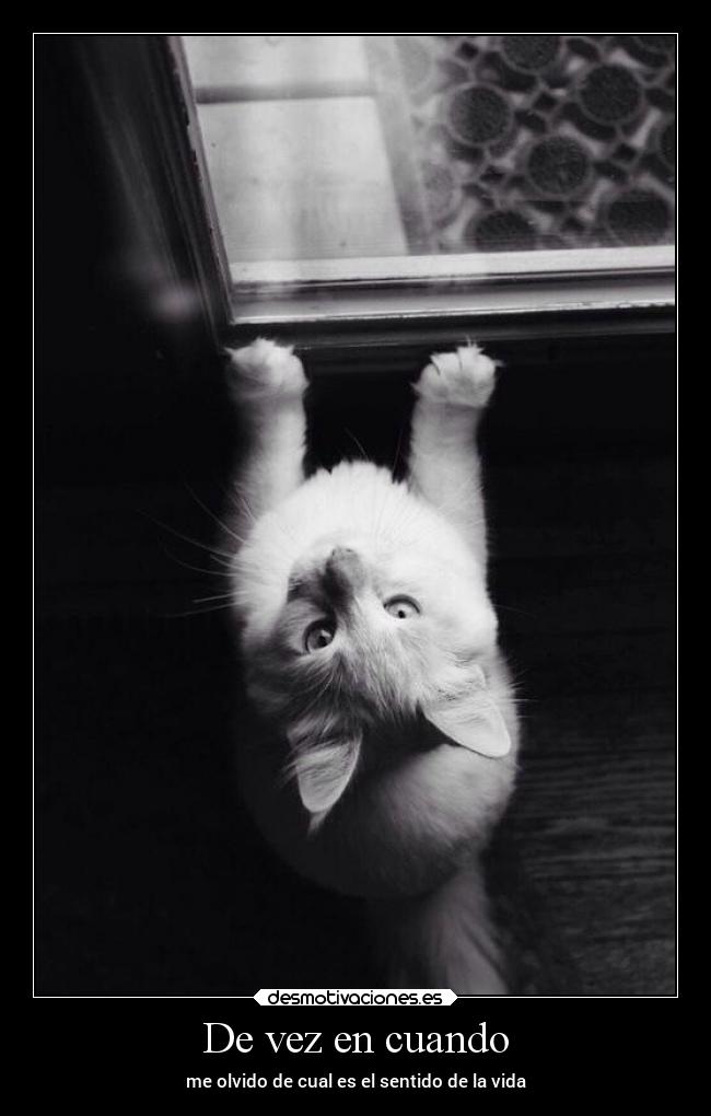 De vez en cuando -