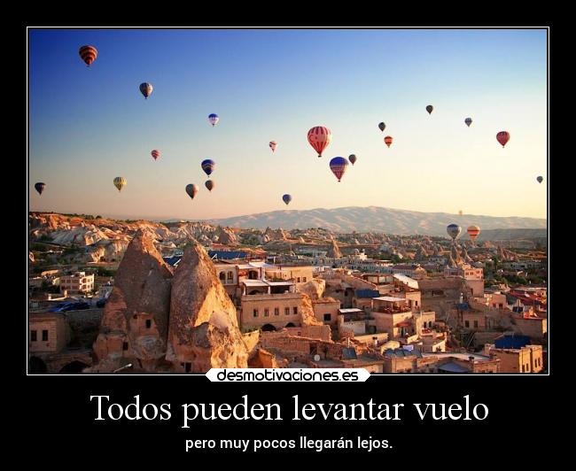 carteles vida frases volar desmotivaciones