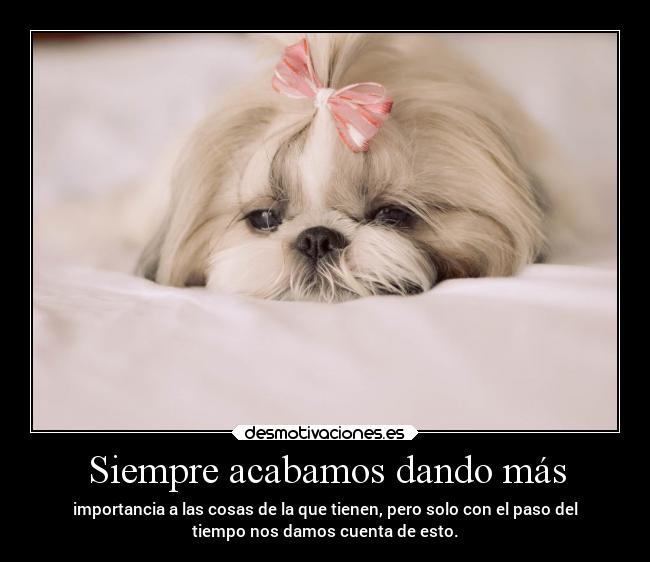 carteles vida importancia tiempo sencillo simple desmotivaciones