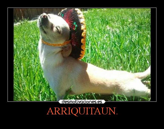 ARRIQUITAUN. -