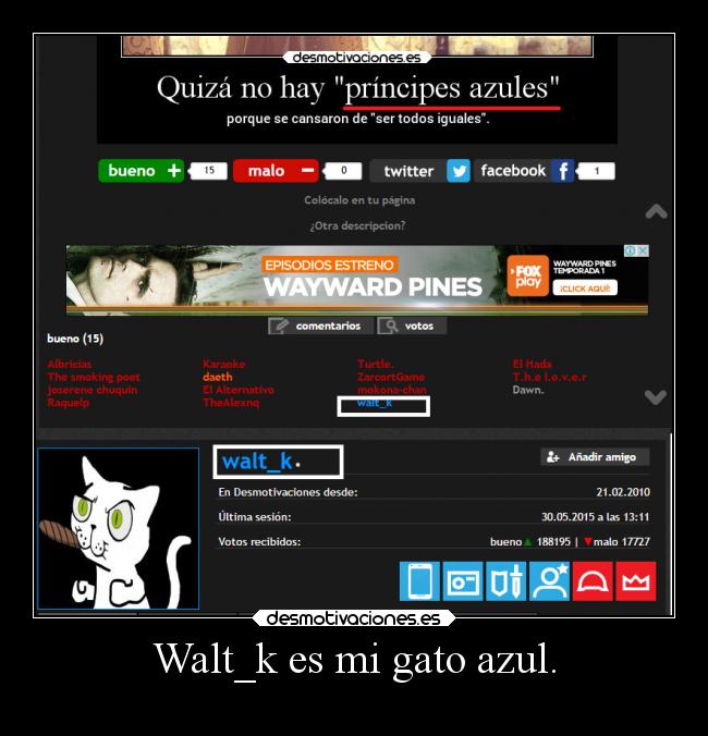 Walt_k es mi gato azul. - 