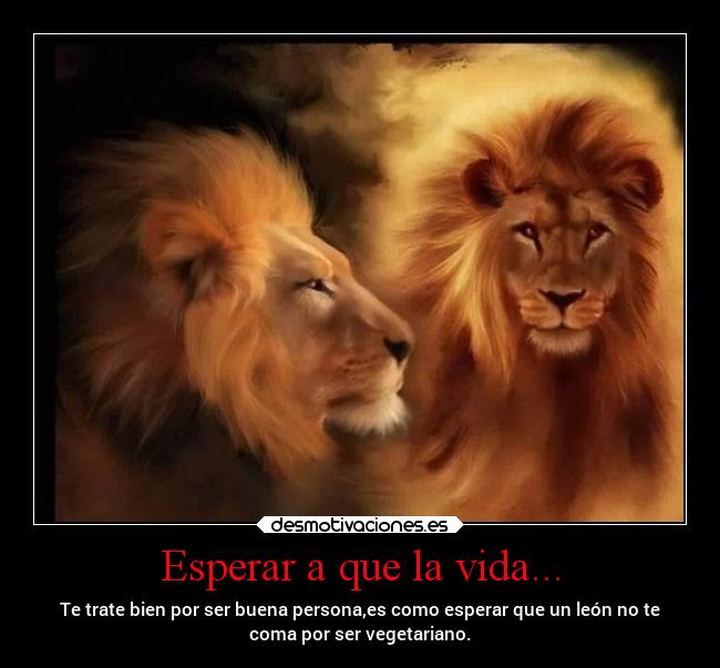 Esperar a que la vida... - 