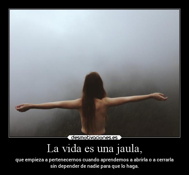 La vida es una jaula, - 