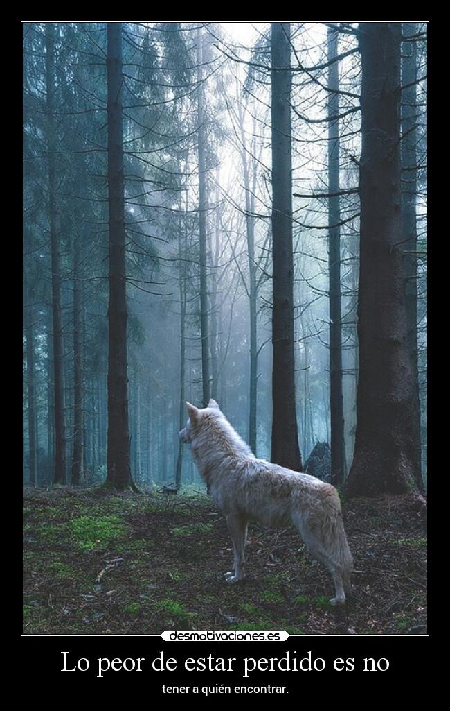 Lo peor de estar perdido es no - tener a quién encontrar.