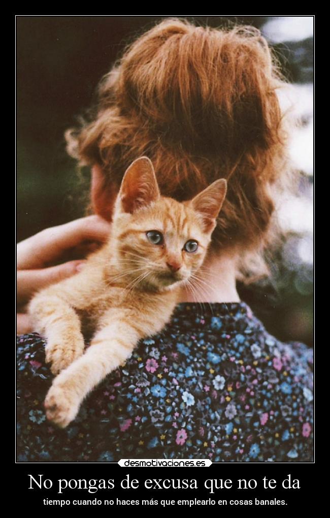 No pongas de excusa que no te da - tiempo cuando no haces más que emplearlo en cosas banales.