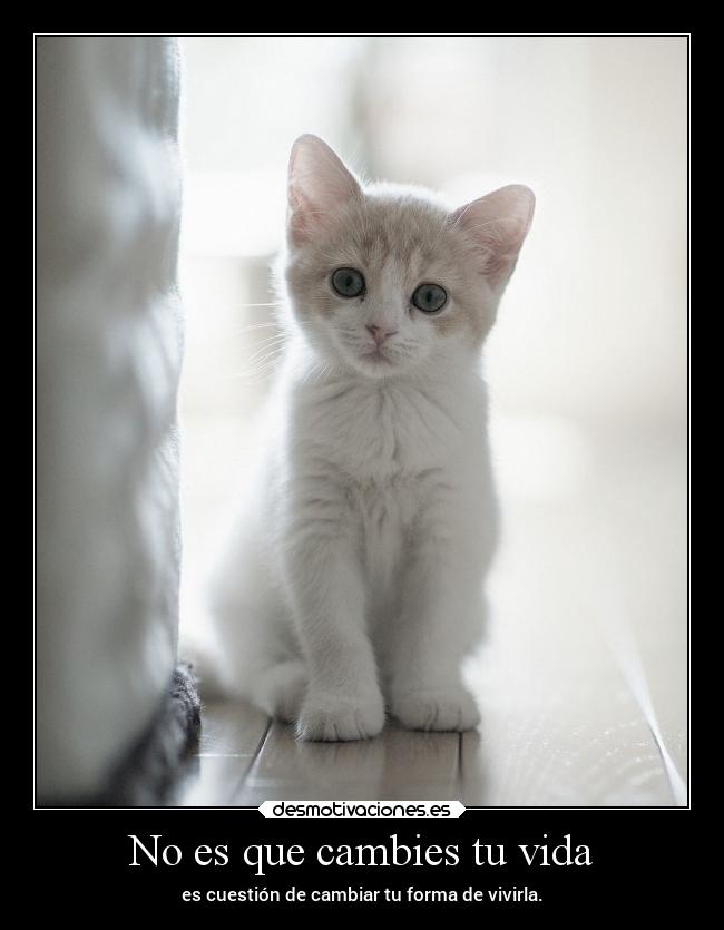 No es que cambies tu vida - es cuestión de cambiar tu forma de vivirla.