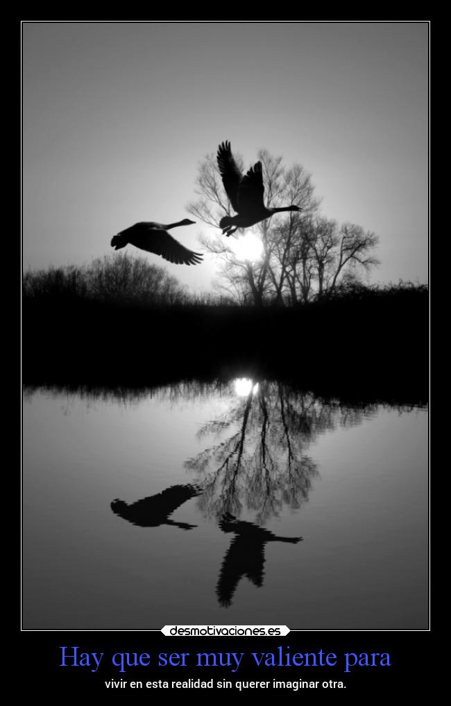 carteles vida notengoideas tontadas valentias mels desmotivaciones