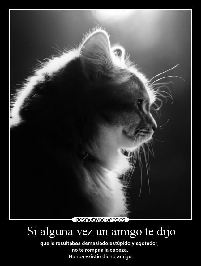 Si alguna vez un amigo te dijo - que le resultabas demasiado estúpido y agotador,
no te rompas la cabeza.
Nunca existió dicho amigo.