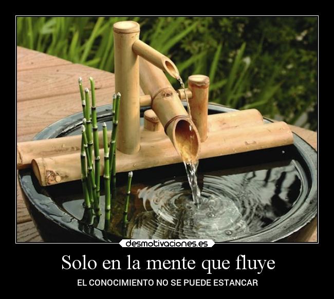 Solo en la mente que fluye - EL CONOCIMIENTO NO SE PUEDE ESTANCAR