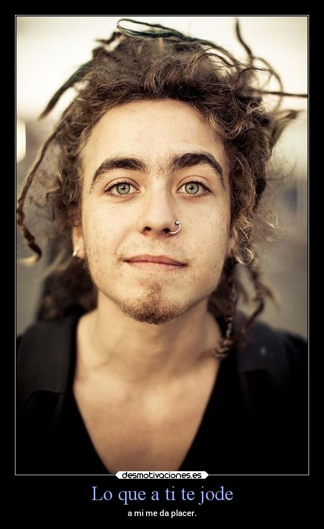 carteles vida placer joder soyunidiotatm projectd rbk panda forever freiheit desmotivaciones