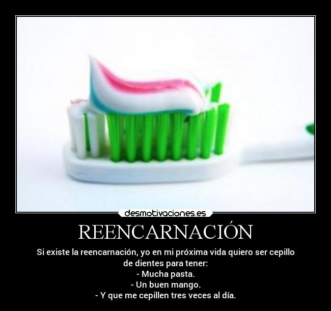 REENCARNACIÓN -