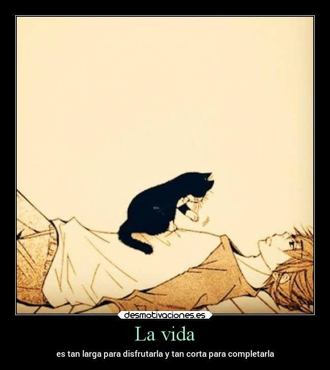 carteles vida tetas verano desmotivaciones