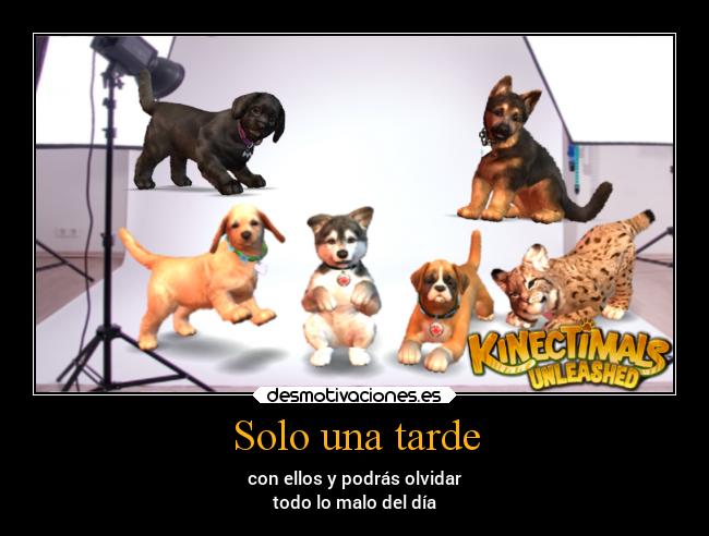 Solo una tarde - con ellos y podrás olvidar
todo lo malo del día