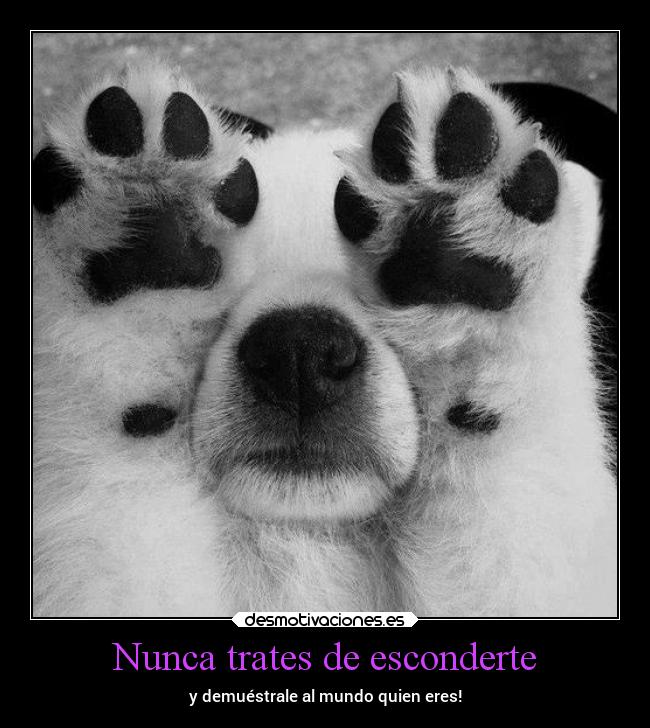 carteles alegria desmotivaciones