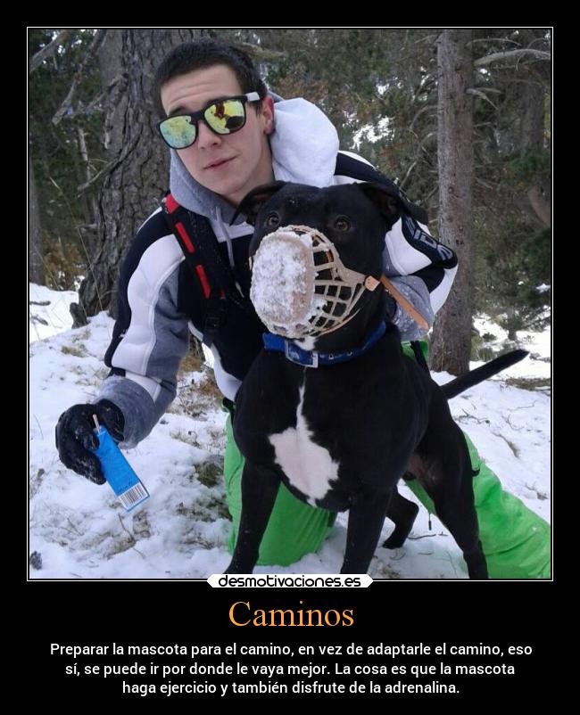 Caminos - Preparar la mascota para el camino, en vez de adaptarle el camino, eso
sí, se puede ir por donde le vaya mejor. La cosa es que la mascota
haga ejercicio y también disfrute de la adrenalina.