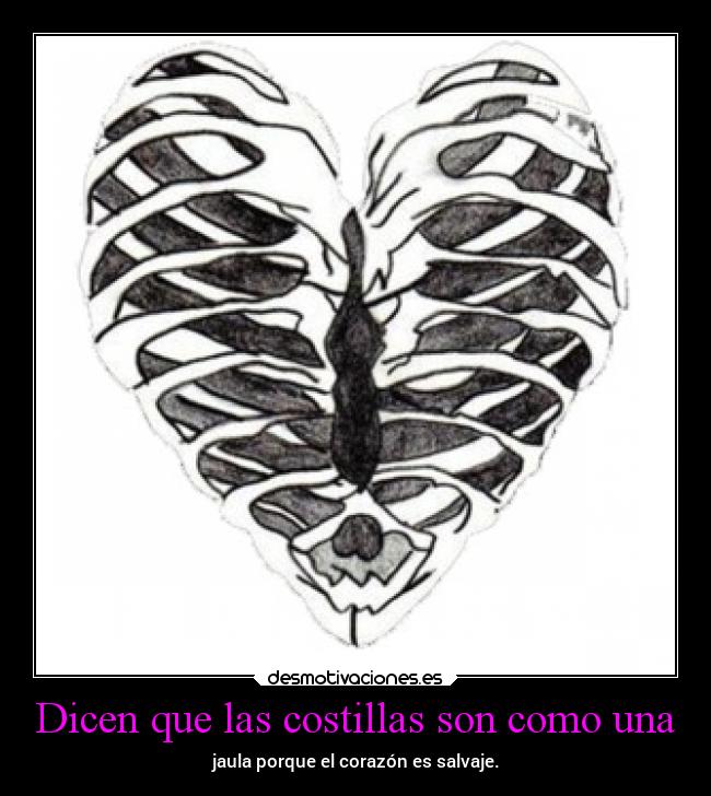 Dicen que las costillas son como una - jaula porque el corazón es salvaje.