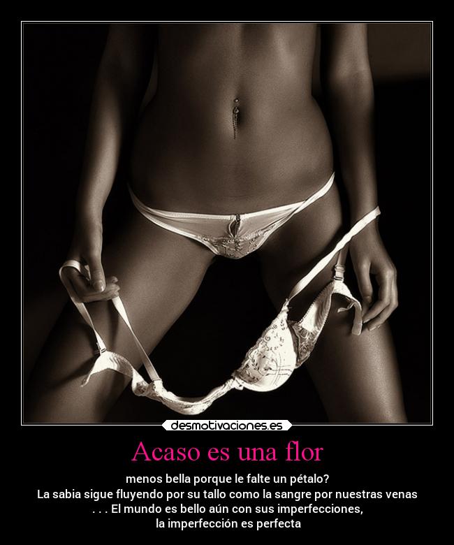 Acaso es una flor - 