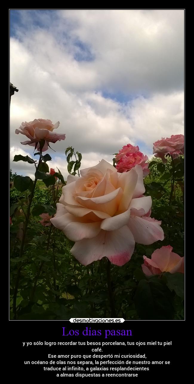 Los días pasan - 