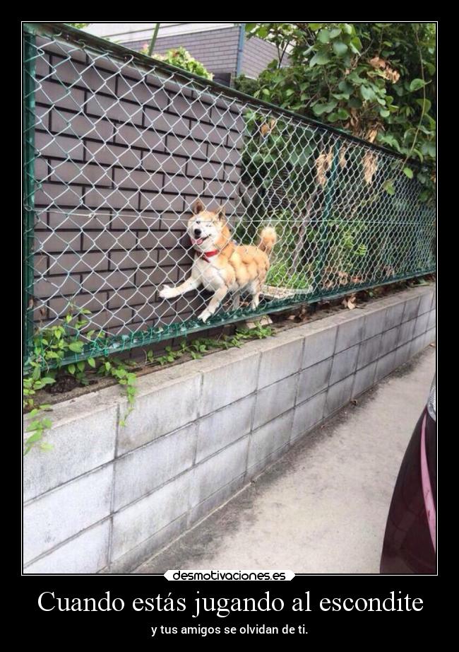 Cuando estás jugando al escondite - y tus amigos se olvidan de ti.