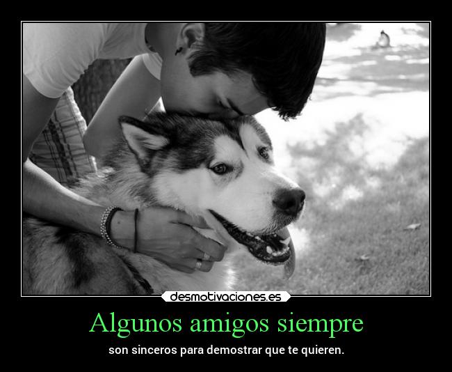 Algunos amigos siempre -