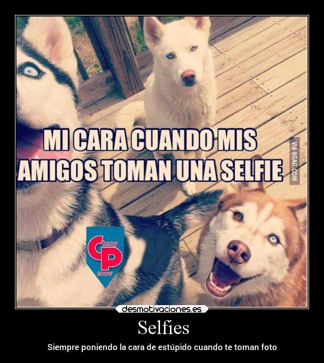 Selfies - Siempre poniendo la cara de estúpido cuando te toman foto