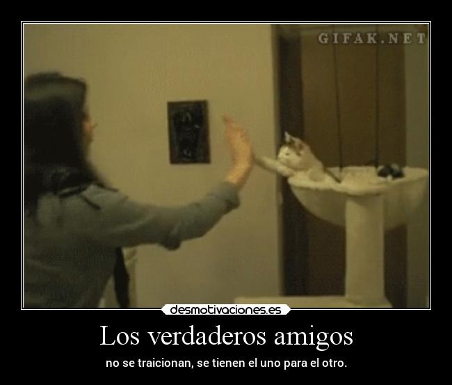 Los verdaderos amigos - 