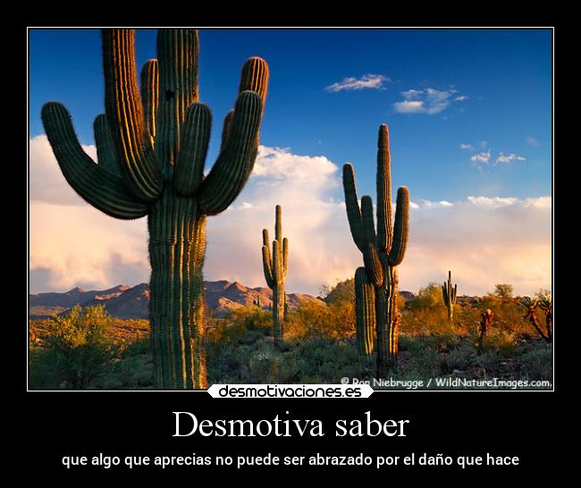 Desmotiva saber - que algo que aprecias no puede ser abrazado por el daño que hace