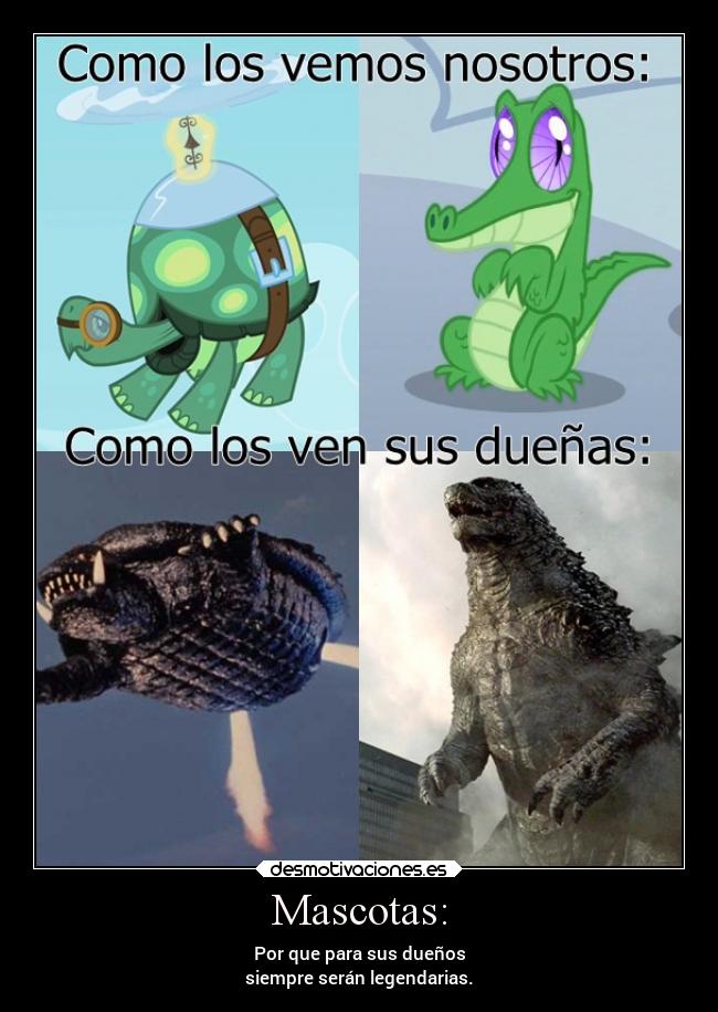 Mascotas: - Por que para sus dueños
siempre serán legendarias.