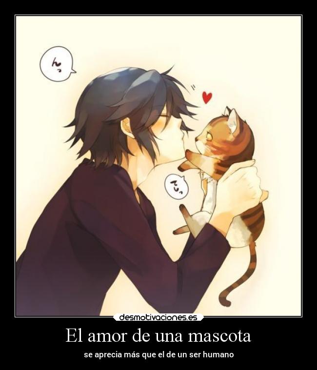 El amor de una mascota - se aprecia más que el de un ser humano