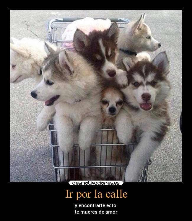 Ir por la calle - 