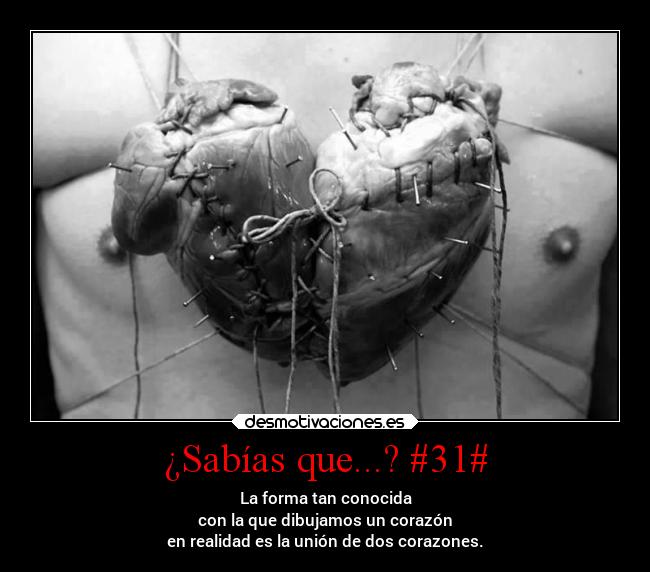 carteles amor corazon zorazones romanticismo mimitime sabiasquep agggg agggggggggggggggggggg lamuertemeteme desmotivaciones