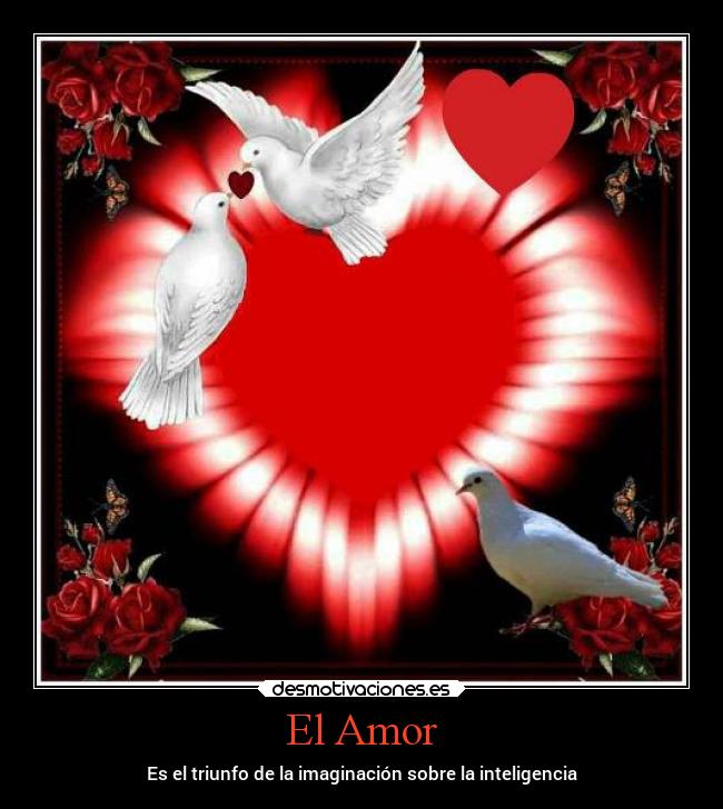El Amor - 