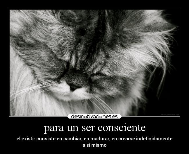 carteles amor desmotivaciones