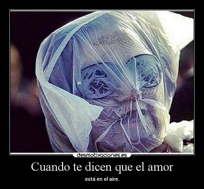 Cuando te dicen que el amor - está en el aire.