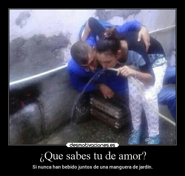 ¿Que sabes tu de amor? - Si nunca han bebido juntos de una manguera de jardín.