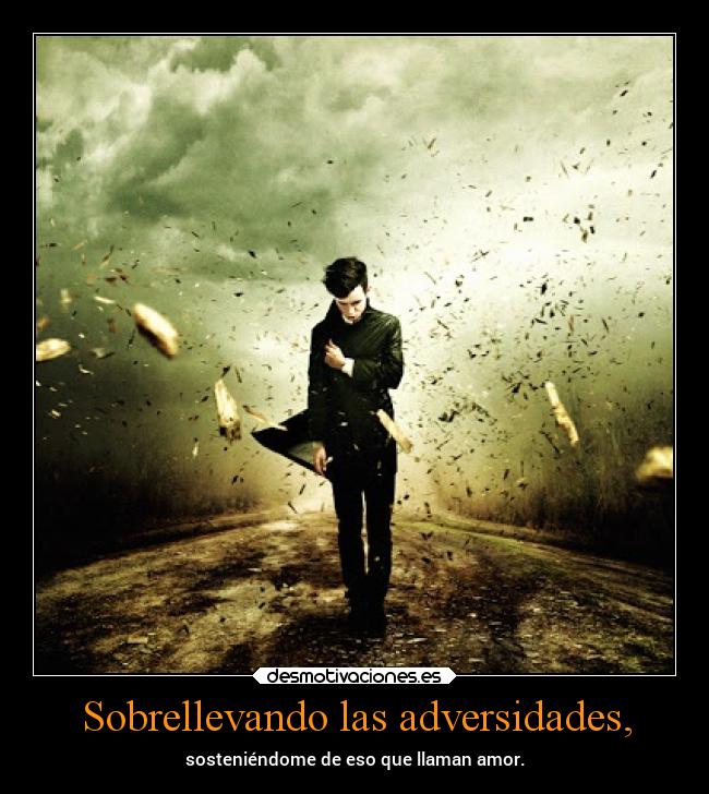 carteles amor lucy tomates verdes desmotivaciones