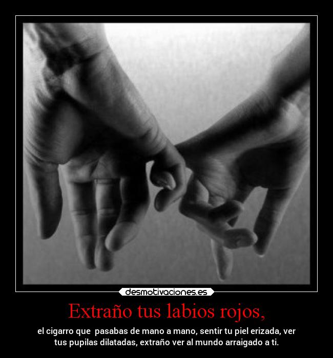 Extraño tus labios rojos, - el cigarro que pasabas de mano a mano, sentir tu piel erizada, ver
tus pupilas dilatadas, extraño ver al mundo arraigado a ti.