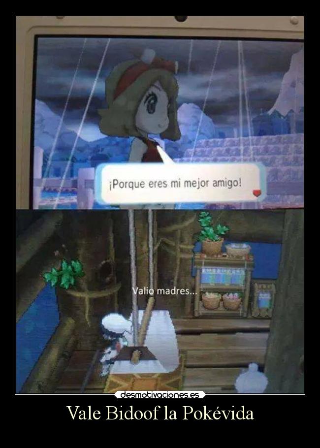 Vale Bidoof la Pokévida -