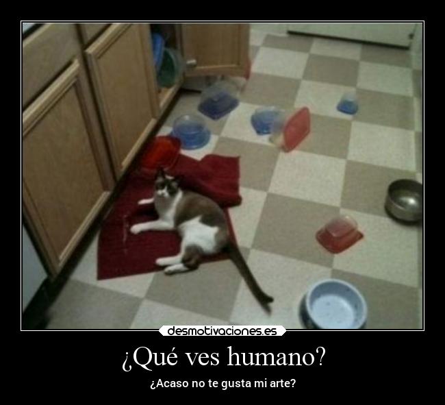 ¿Qué ves humano? - 