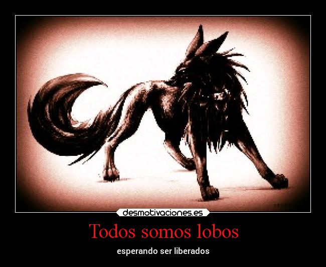 Todos somos lobos - 