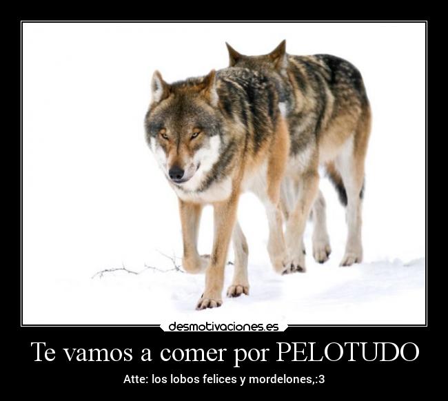 Te vamos a comer por PELOTUDO -