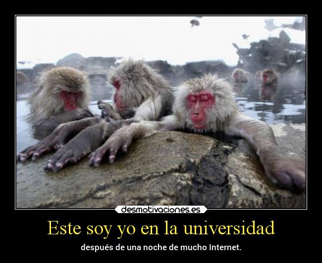 Este soy yo en la universidad - después de una noche de mucho Internet.