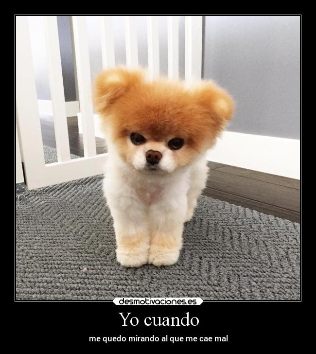 Yo cuando - me quedo mirando al que me cae mal