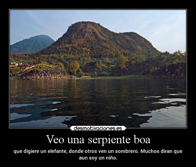 Veo una serpiente boa -