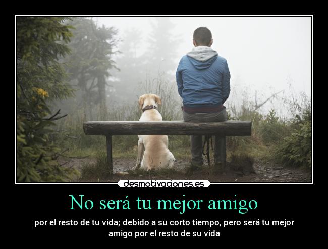 No será tu mejor amigo -