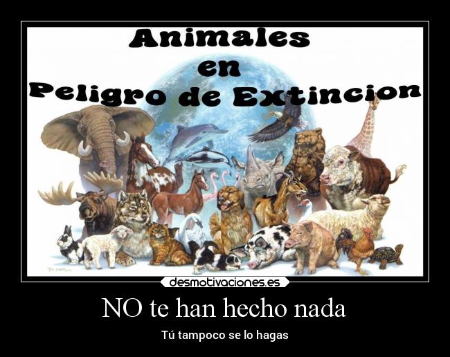 NO te han hecho nada - 