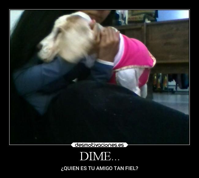 DIME... - ¿QUIEN ES TU AMIGO TAN FIEL?