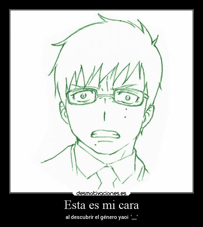 Esta es mi cara - al descubrir el género yaoi  __