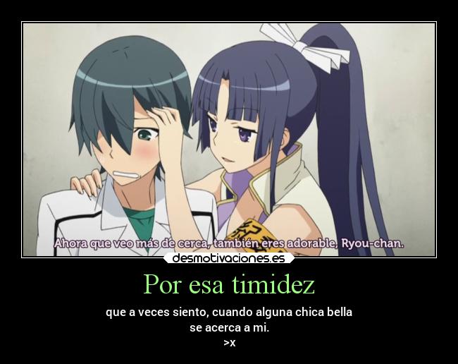 carteles anime joder meestan acosando desde las sombras ookami san sichinin nonakama tachi desmotivaciones