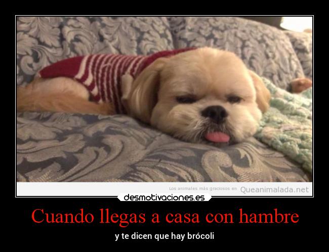 Cuando llegas a casa con hambre - y te dicen que hay brócoli